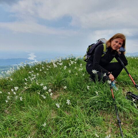 User profile picture