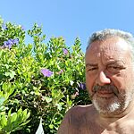 Alberto